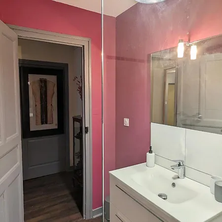 Puy-en-velay : Charmant 2 Avec Jardin Clos, Proche Centre Historique Et Depart St Jacques. - Fr-1-582-459 Couette-café *