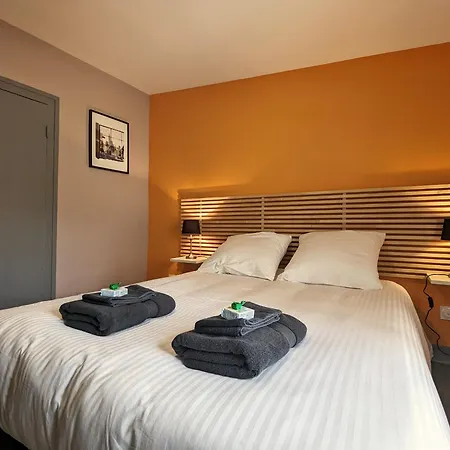 Puy-en-velay : Charmant 2 Avec Jardin Clos, Proche Centre Historique Et Depart St Jacques. - Fr-1-582-459 Couette-café