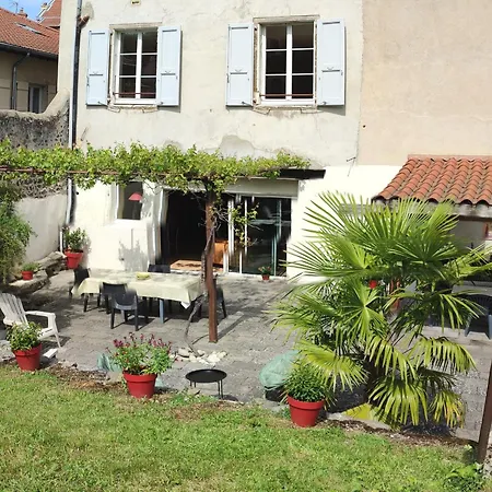 Puy-en-velay : Charmant 2 Avec Jardin Clos, Proche Centre Historique Et Depart St Jacques. - Fr-1-582-459 *