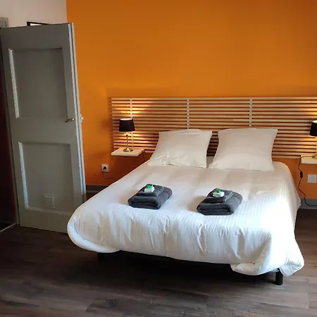Puy-en-velay : Charmant 2 Avec Jardin Clos, Proche Centre Historique Et Depart St Jacques. - Fr-1-582-459 Bed & Breakfast *