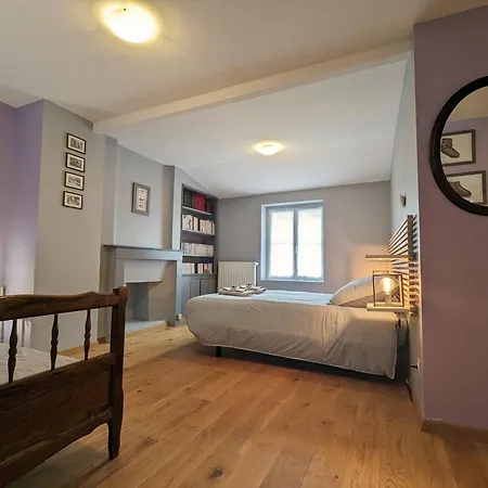Puy-en-velay : Charmant 2 Avec Jardin Clos, Proche Centre Historique Et Depart St Jacques. - Fr-1-582-459