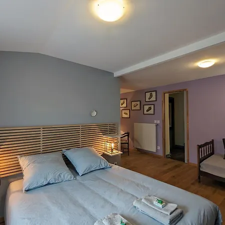 Bed & Breakfast Puy-en-velay : Charmant 2 Avec Jardin Clos, Proche Centre Historique Et Depart St Jacques. - Fr-1-582-459 *